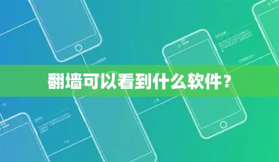 翻墙可以看到什么软件？