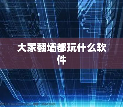 大家翻墙都玩什么软件