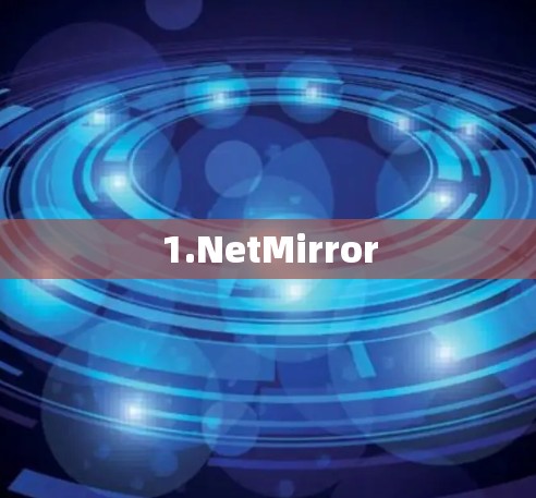 1.NetMirror