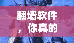 翻墙软件，你真的需要它吗？
