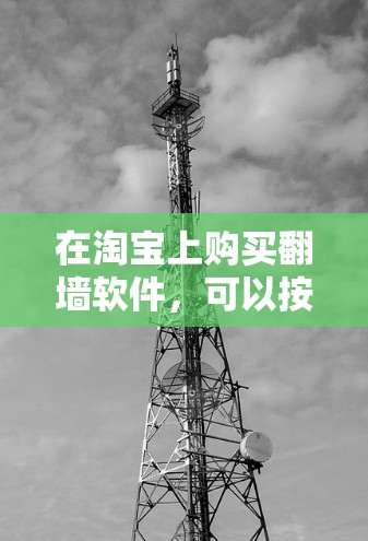 在淘宝上购买翻墙软件，可以按照以下步骤进行
