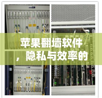 苹果翻墙软件，隐私与效率的平衡